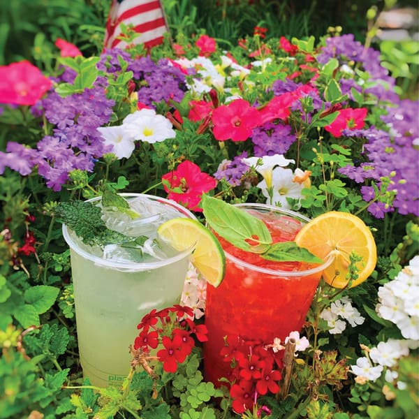 Mint Lemonade and Watermelon Lemonade